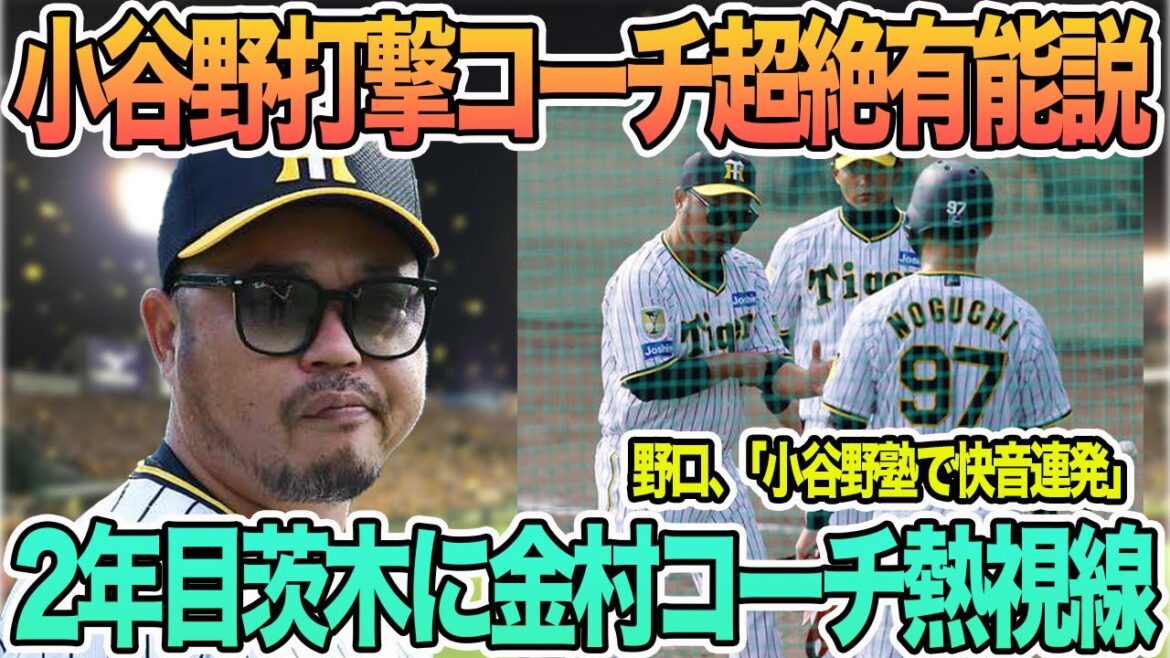 【阪神 小谷野打撃コーチ超絶有能説】2年目茨木に金村コーチ熱視線 小谷野コーチ一問一答 中川がフリー打撃を再開 野口「小谷野塾」で快音連発 阪神タイガース 【阪神 小谷野打撃コーチ超絶有能説】2年目茨木に金村コーチ熱視線 小谷野コーチ一問一答 中川がフリー打撃を再開 野口「小谷野塾」で快音連発 阪神タイガース