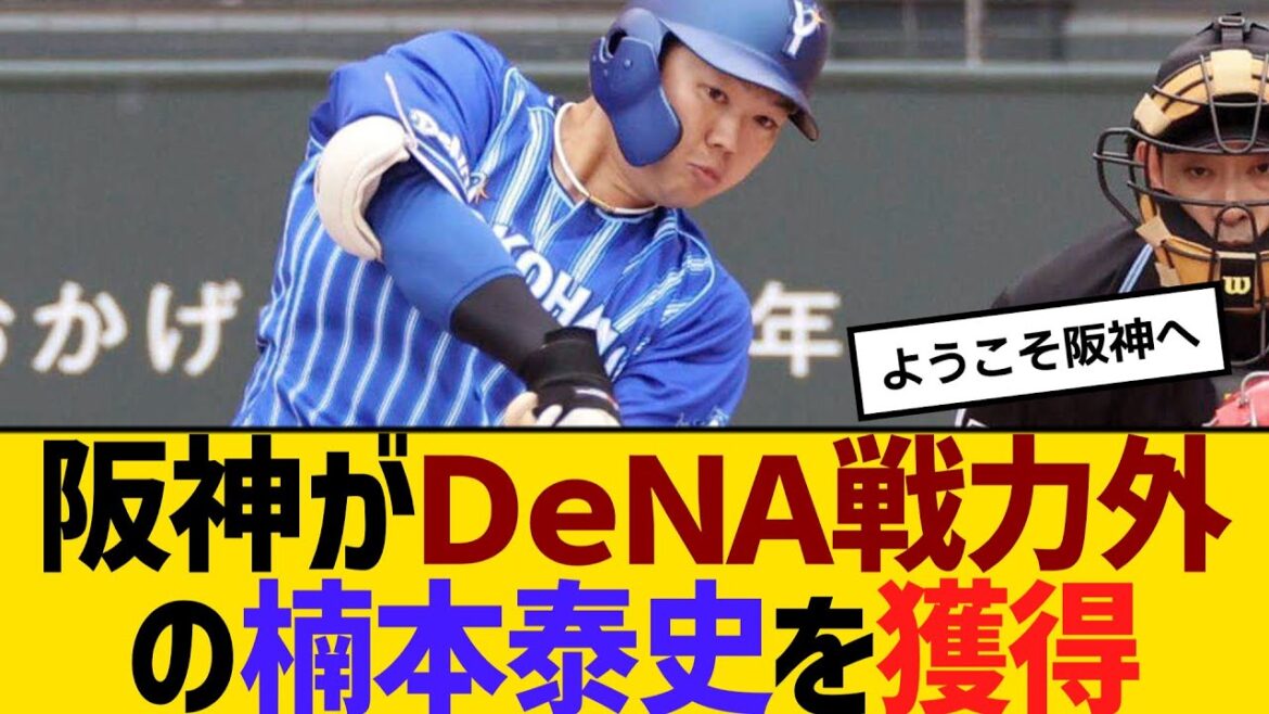 阪神がＤｅＮＡ戦力外の楠本泰史を獲得　【ネットの反応】【反応集】
