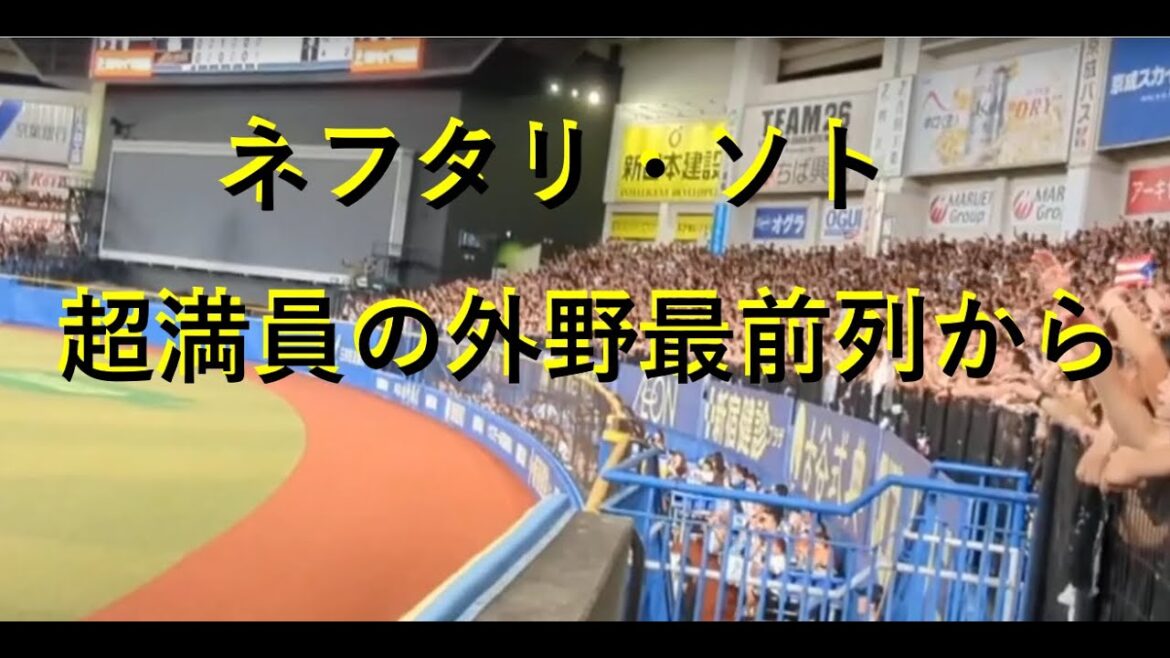 【千葉ロッテマリーンズ】ネフタリ教 超満員の外野 最前列から
