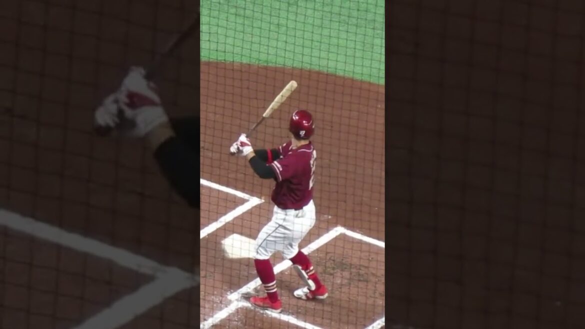 【楽天】岡島豪郎（2024）のバッティングフォーム＜読売ジャイアンツ対 楽天イーグルス 2024年3月22日＞ #岡島豪郎