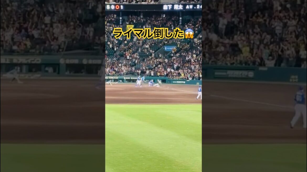 【阪神タイガース】森下翔太、ライマルを討つ サヨナラタイムリー #甲子園 #阪神 #中日 #森下 #shorts