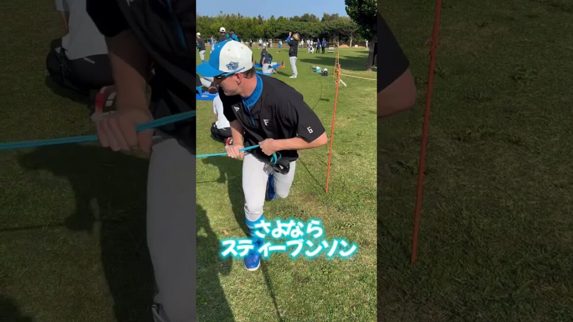 さよならスティーブンソン #日本ハムファイターズ #北海道日本ハムファイターズ #日ハム #fighters #スティーブンソン #外国人 #助っ人 #プロ野球