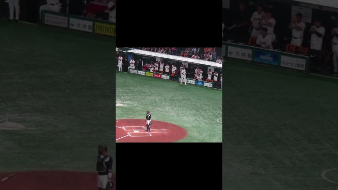 ジャイアンツ9連打の時のベンチの様子〜吉川尚輝のヒットの時〜2連打目（読売ジャイアンツ対 千葉ロッテマリーンズ2024年6月4日） #吉川尚輝