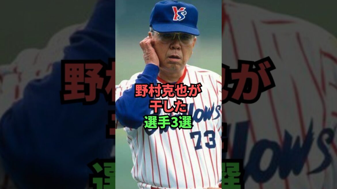 野村克也が干した選手3選