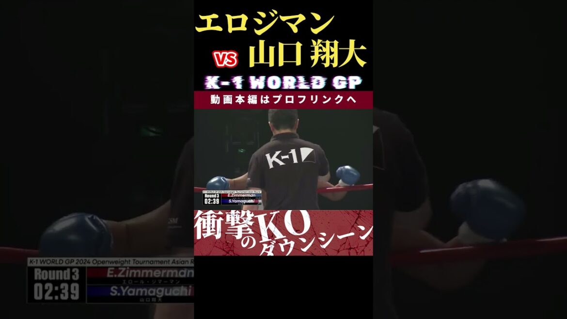 【K-1 WORLD GP 2024】The Bonecrusher：エロール・ジマーマン vs 最強の侵略者：山口 翔大　Krush.167 11.16後楽園大会チケット好評発売中！