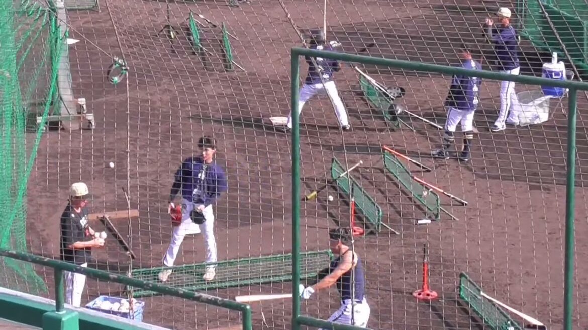 【プロ野球】2024.11.14　オリックス　秋季キャンプ　『野手　バッティング』