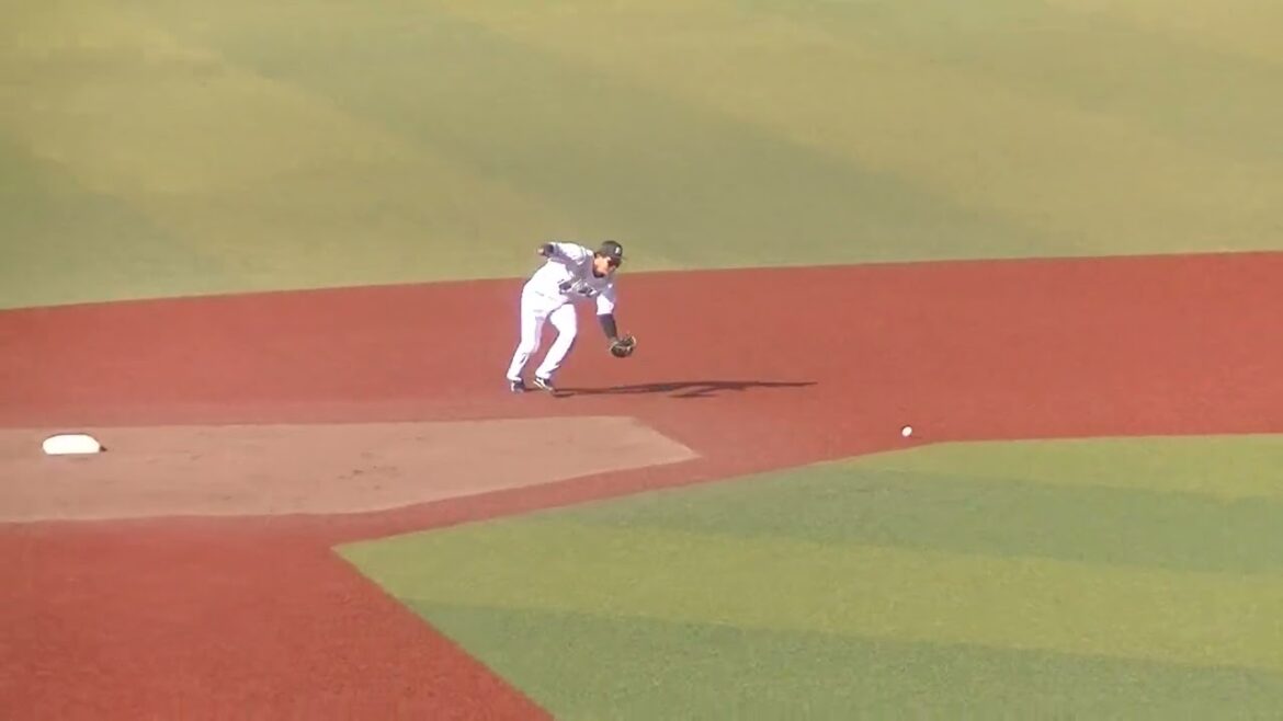 【合同トライアウト】内野シートノック ジャイアンツ菊田拡和や加藤廉など 2024年プロ野球12球団合同トライアウト11月14日