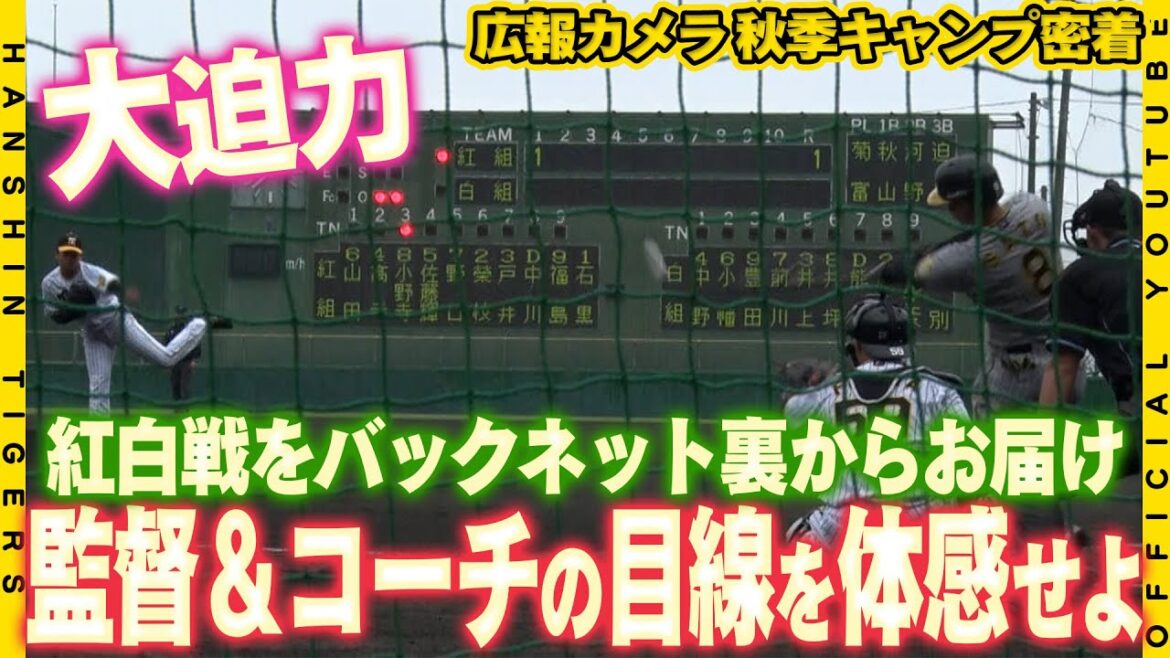 【広報密着】紅白戦に広報カメラが迫る！#藤川球児 監督&コーチ陣が目を光らせるバックネット裏で撮影に成功！広報カメラならではの迫力満点のプロ目線で試合をお楽しみください！