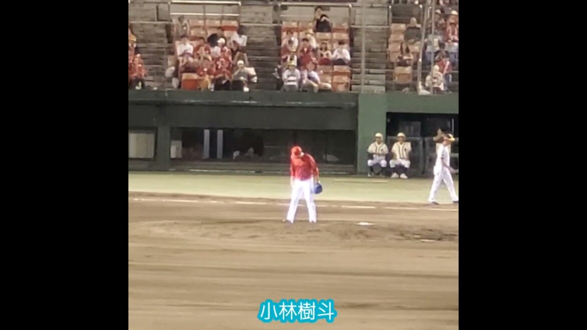 20240726　戦力外通告… #小林樹斗 の投球練習　#shorts　投球ﾌｫｰﾑ@岡山･倉敷ﾏｽｶｯﾄｽﾀｼﾞｱﾑ［ｳｴｽﾀﾝ･ﾘｰｸﾞ 2軍戦］外野ﾗｲﾄ