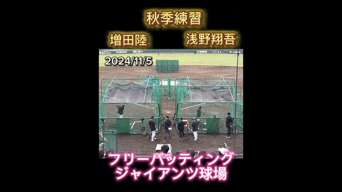【GIANTS】 #浅野翔吾 #増田陸 のフリーバッティング #巨人 #ジャイアンツ #プロ野球 #秋季練習 #shorts