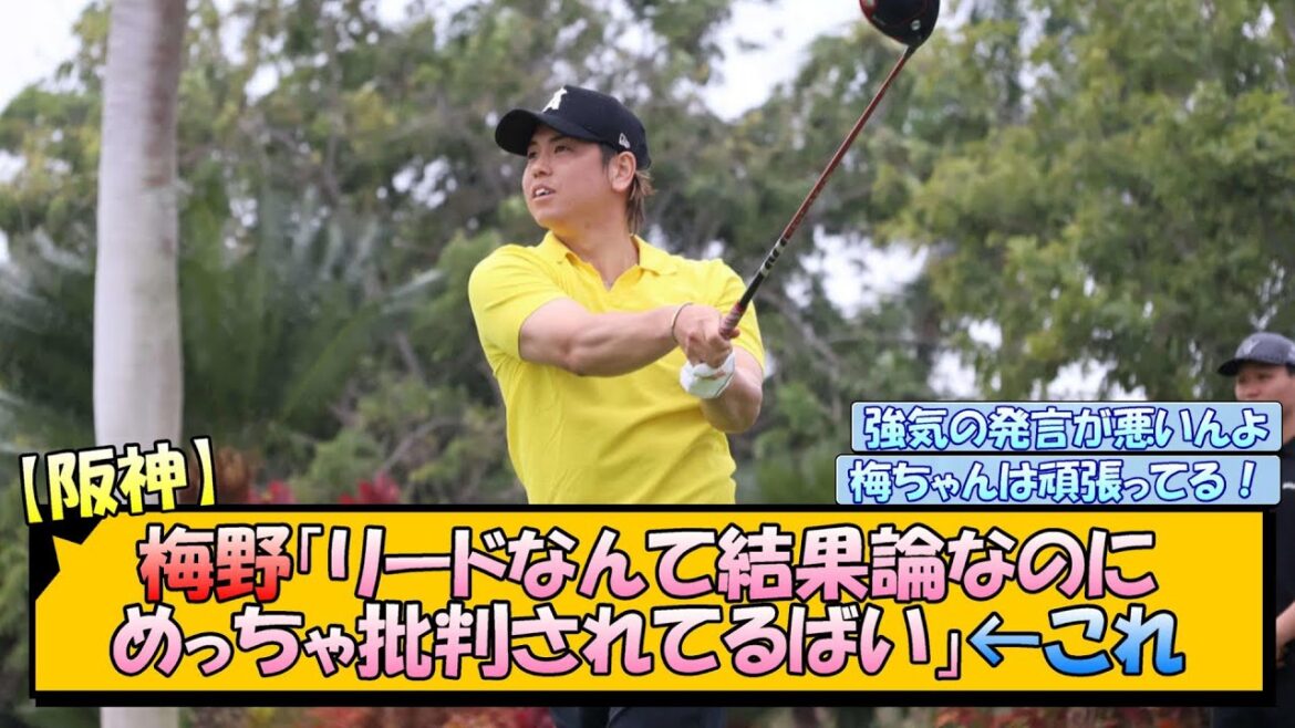 【阪神】梅野「リードなんて結果論なのにめっちゃ批判されてるばい」←これ【なんJ/2ch/5ch/ネット 反応 まとめ/阪神タイガース/藤川球児/梅野隆太郎】