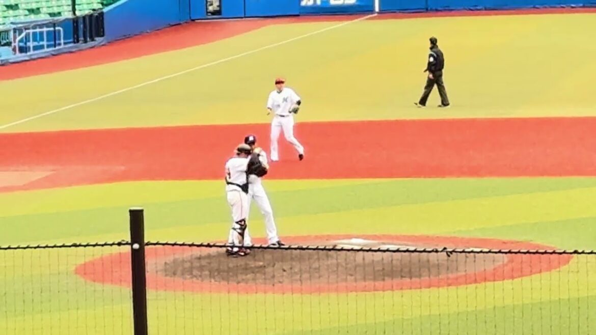 12球団合同トライアウト シート打撃『投手: 元ロッテ・吉田凌  打者: 元ヤクルト・西田明央 & 元ロッテ・菅野剛士 』