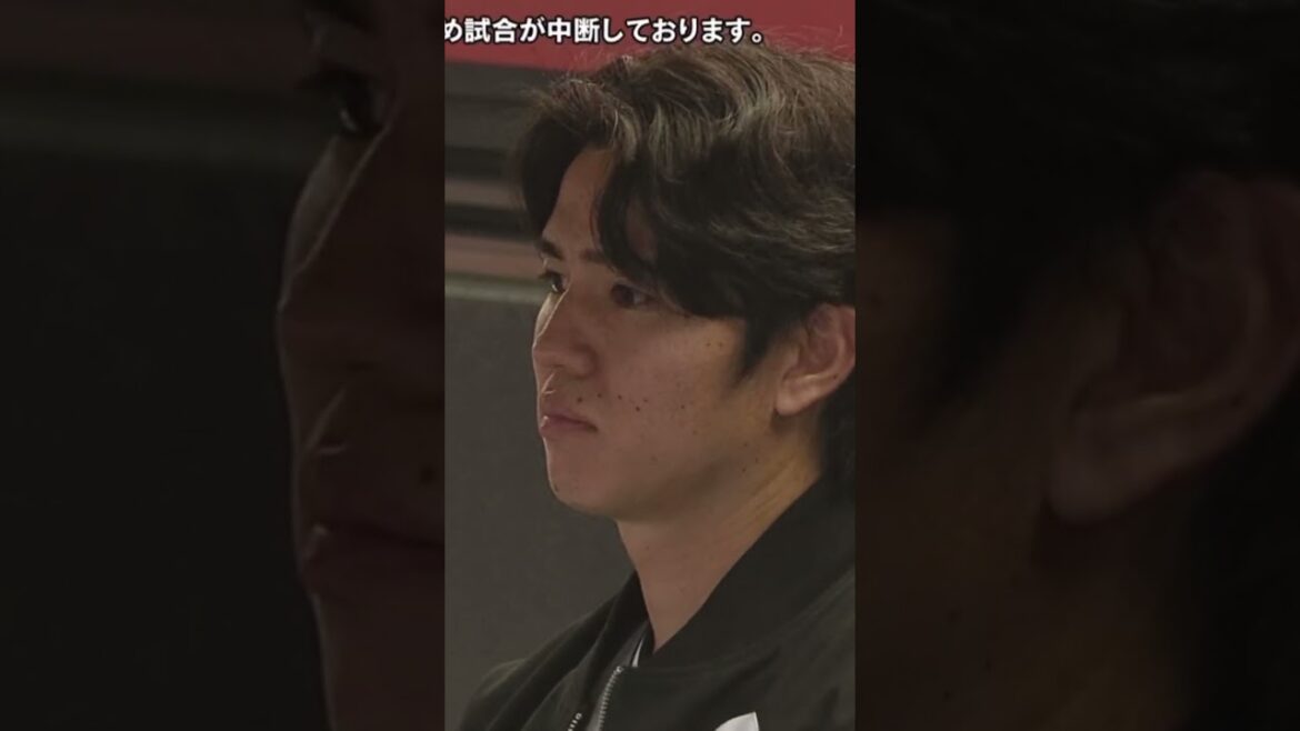 【プロ野球】高橋礼が壊れた　#プロ野球 #読売ジャイアンツ #高橋礼