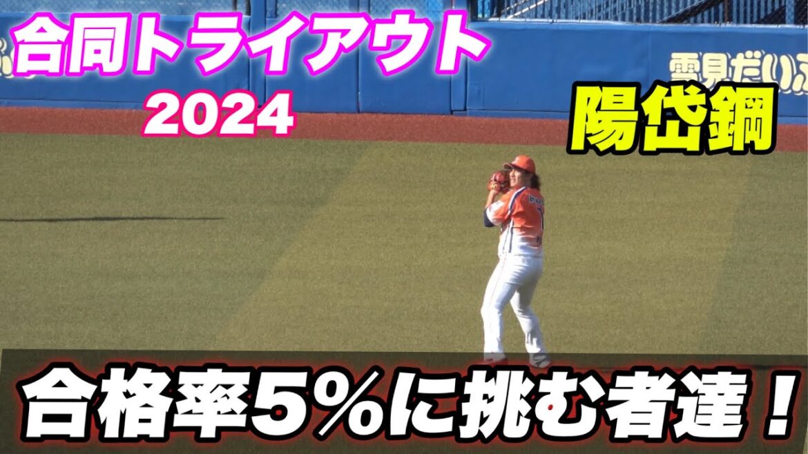【今年で最後のトライアウト！元日ハムのスター陽岱鋼が出場のアピールの場のシートノック】
