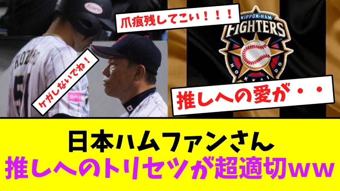 日本ハムファンさん、推しへのトリセツが超適切ｗｗ【なんJなんG】【2ch5ch】