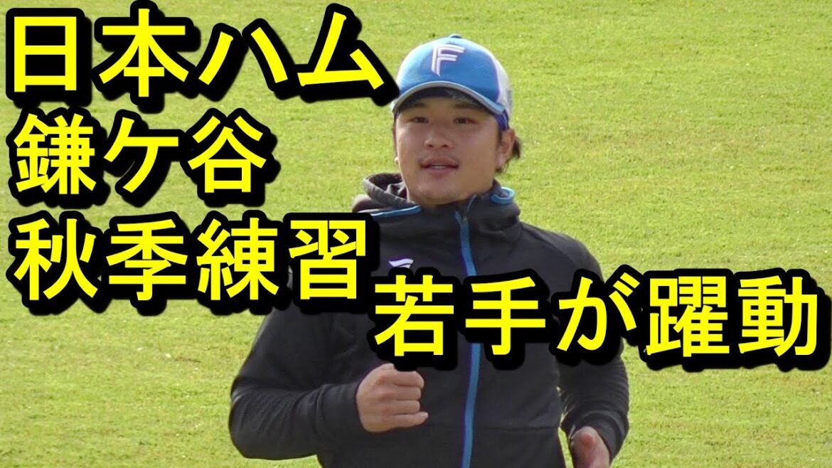 若手が躍動、日本ハム鎌ケ谷 秋季練習2024.11.16