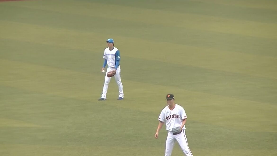 【合同トライアウト】ファイターズ齊藤伸治がキャッチボール2024年プロ野球12球団合同トライアウト11月14日