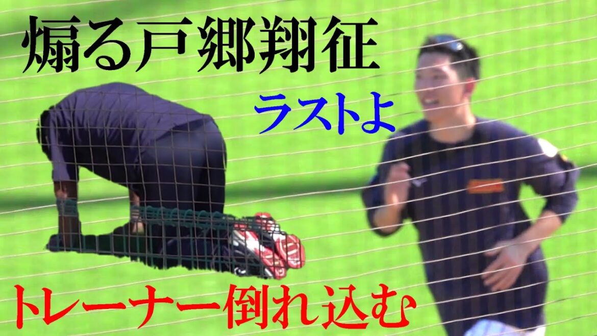 侍ジャパン選手よりトレーニングするトレーナー（2024 1106） #戸郷翔征