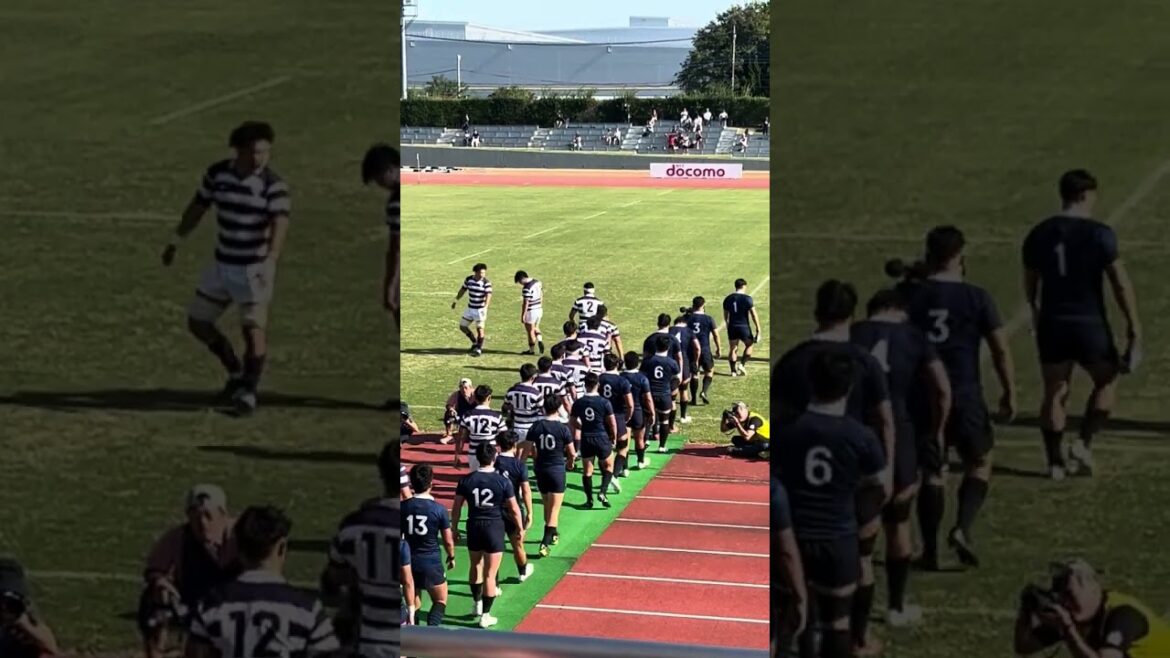 明大ラグビー　明治vs立教　選手入場　#大学ラグビー #rugby #shorts