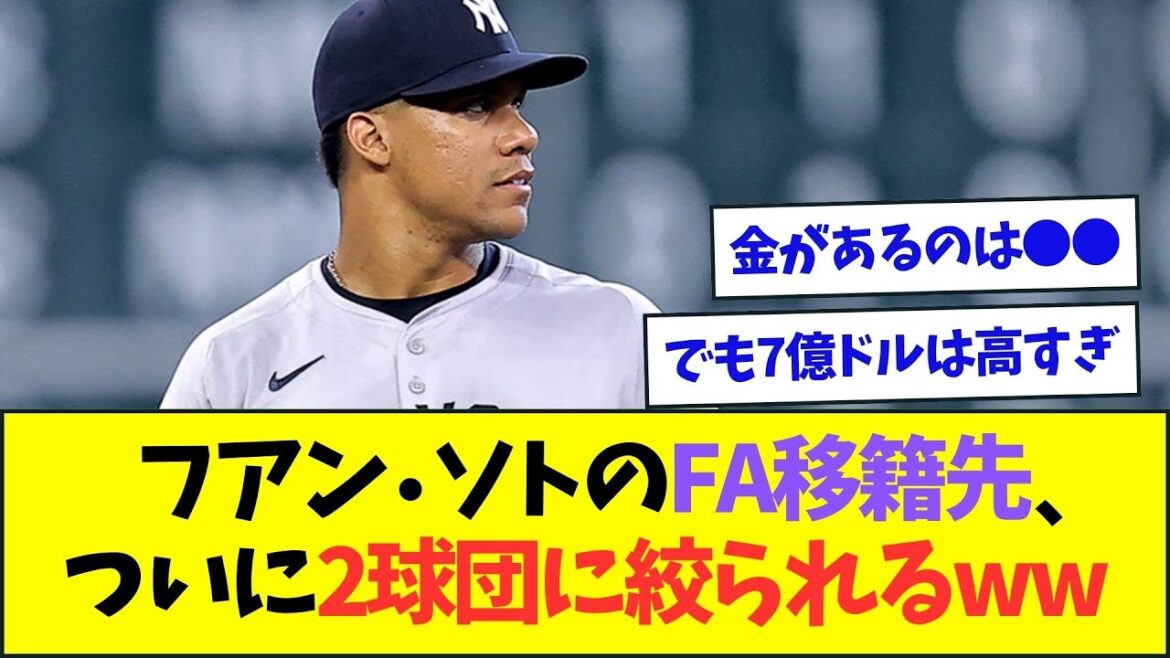 フアン・ソトのFA移籍先、ついに2球団に絞られるww【なんJなんG反応】【2ch5ch】
