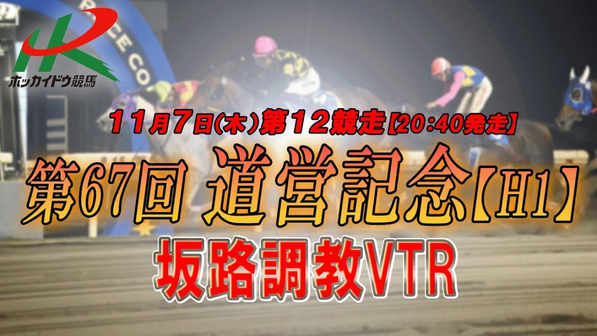 【2024坂路調教映像】11/7(木) 第12競走 道営記念 【2024坂路調教映像】11/7(木) 第12競走 道営記念