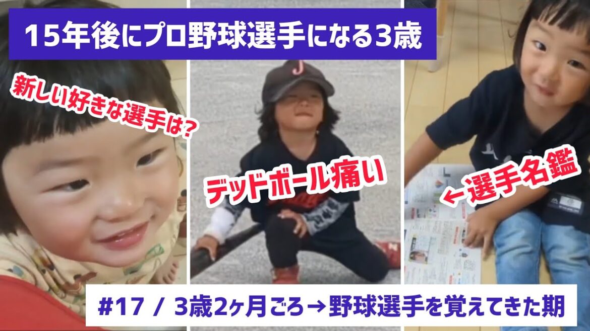 15年後にプロ野球選手になる3歳 〈#17〉3歳2ヶ月→プロ野球選手を覚えてきた期