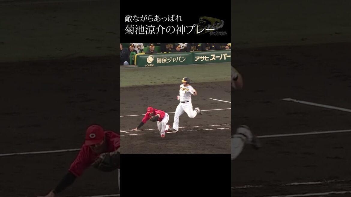 菊池涼介の神プレーに敵ながらあっぱれ　#shorts #short #阪神 #広島 #忍者 #ninja