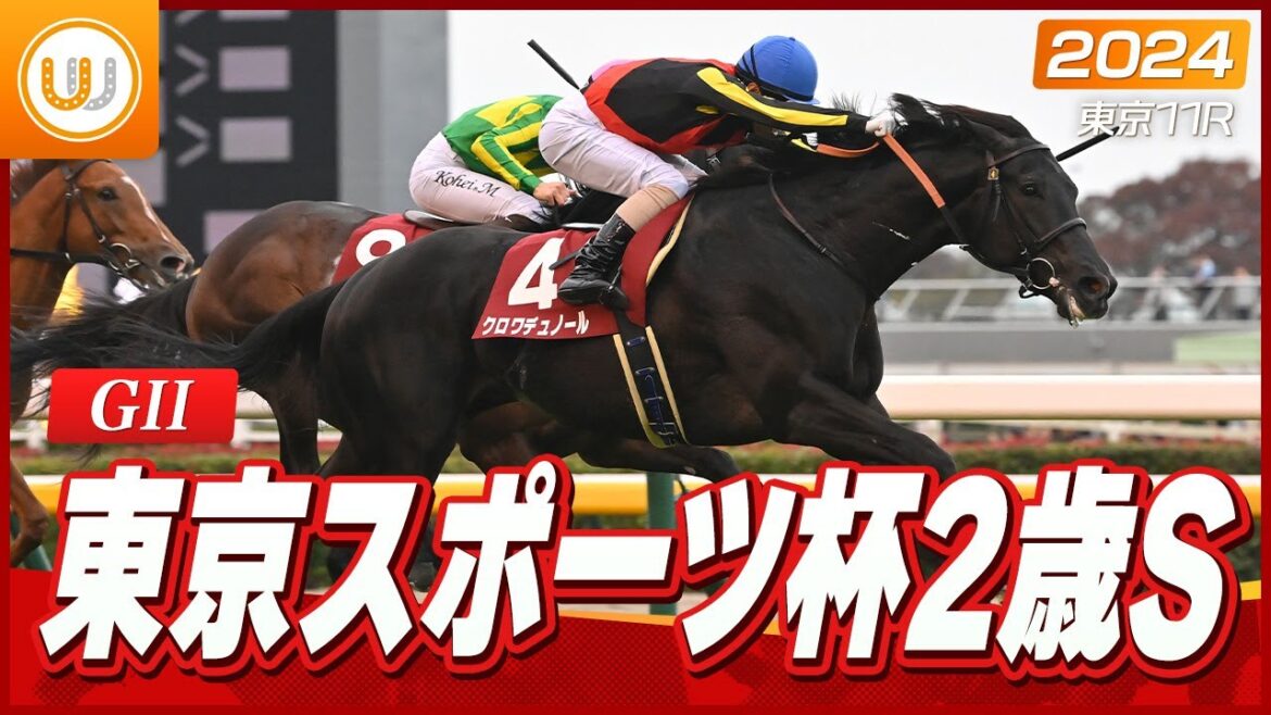 【レース映像】東京11R 東京スポーツ杯2歳ステークス(GII)|クロワデュノール(牡2・北村友一)|ウイニング競馬 【レース映像】東京11R 東京スポーツ杯2歳ステークス(GII)|クロワデュノール(牡2・北村友一)|ウイニング競馬