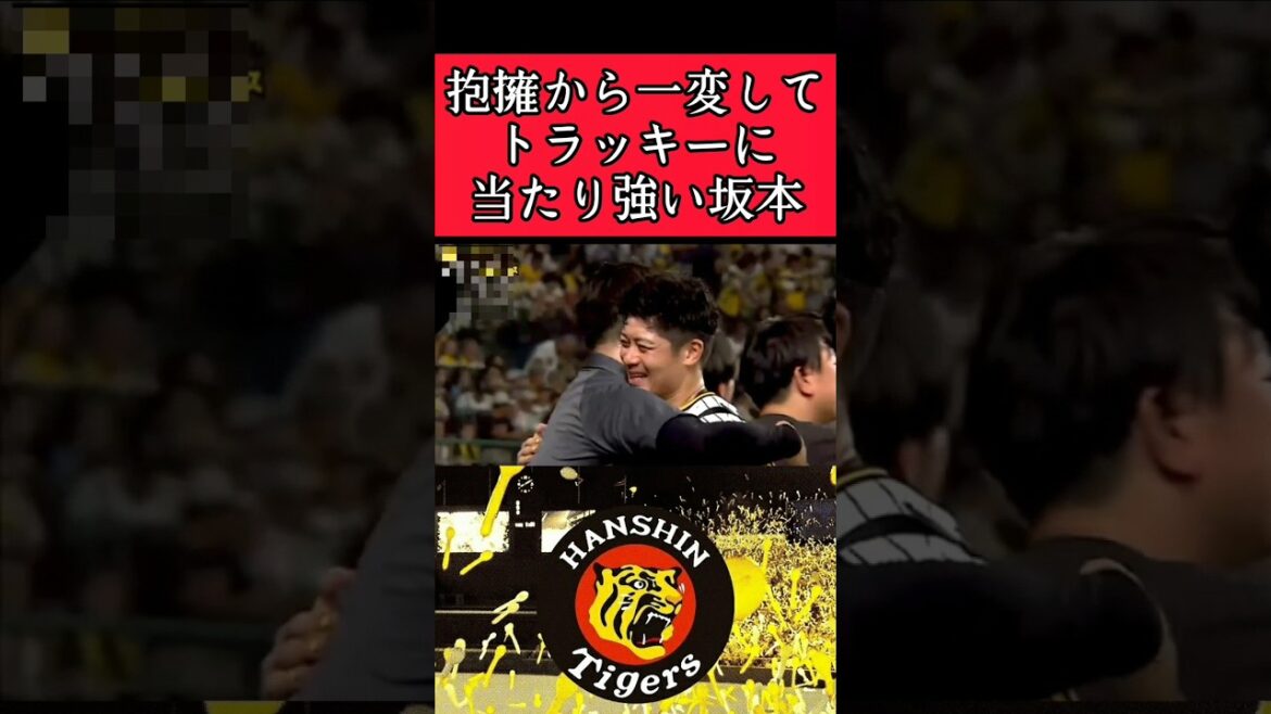 【阪神】"坂本誠志郎"トラッキーにキツすぎる！ #阪神 #阪神タイガース #坂本誠志郎 #shorts