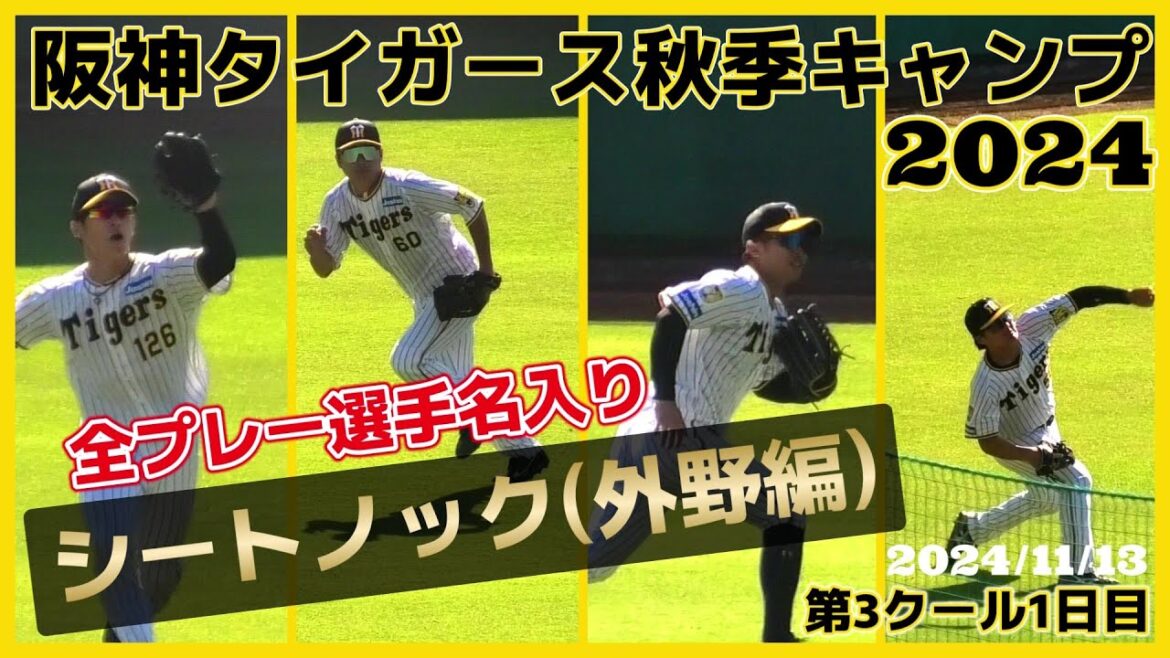 【2024阪神タイガース秋季キャンプ(第3クール1日目)/シートノック(外野編)≫新生阪神タイガース!若虎・前川右京、豊田 寛、井坪 陽生、小野寺 暖、福島 圭音ら】2024/11/13阪神タイガース 【2024阪神タイガース秋季キャンプ(第3クール1日目)/シートノック(外野編)≫新生阪神タイガース!若虎・前川右京、豊田 寛、井坪 陽生、小野寺 暖、福島 圭音ら】2024/11/13阪神タイガース