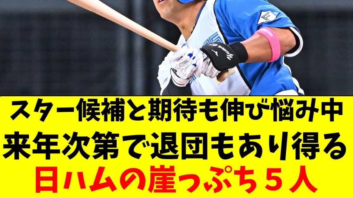 【日本ハム】ブレイク期待も伸び悩み、退団危機が迫る５選手