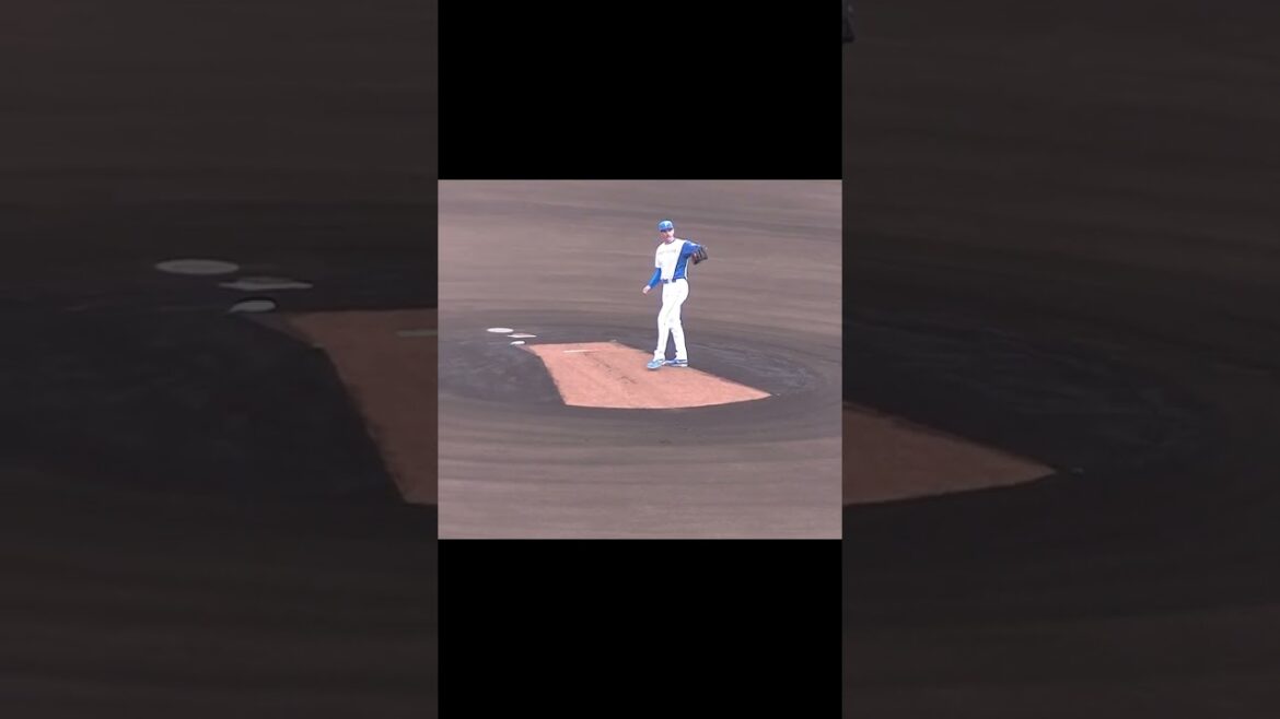 【野球選手フォーム集】日ハム バーヘイゲンの投球フォーム（2024年4月23日 日本ハムファイターズ対 横浜DeNAベイスターズ 2軍） #バーヘイゲン