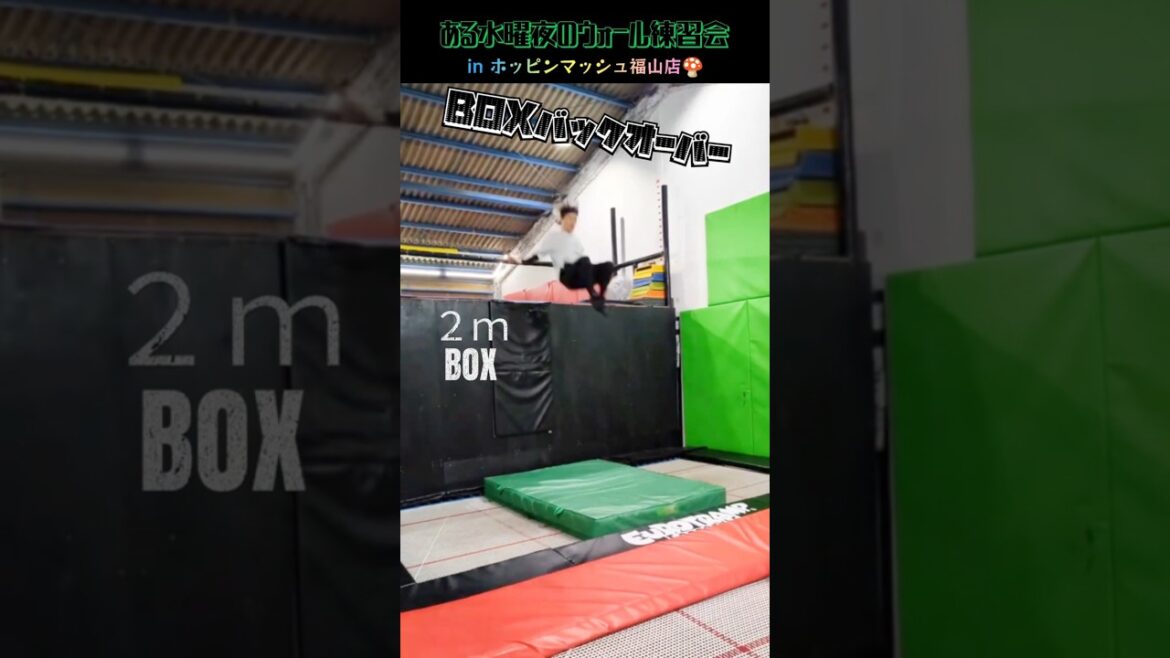 2ｍから落ちてみよう〜☺️【team WallTramp.F】