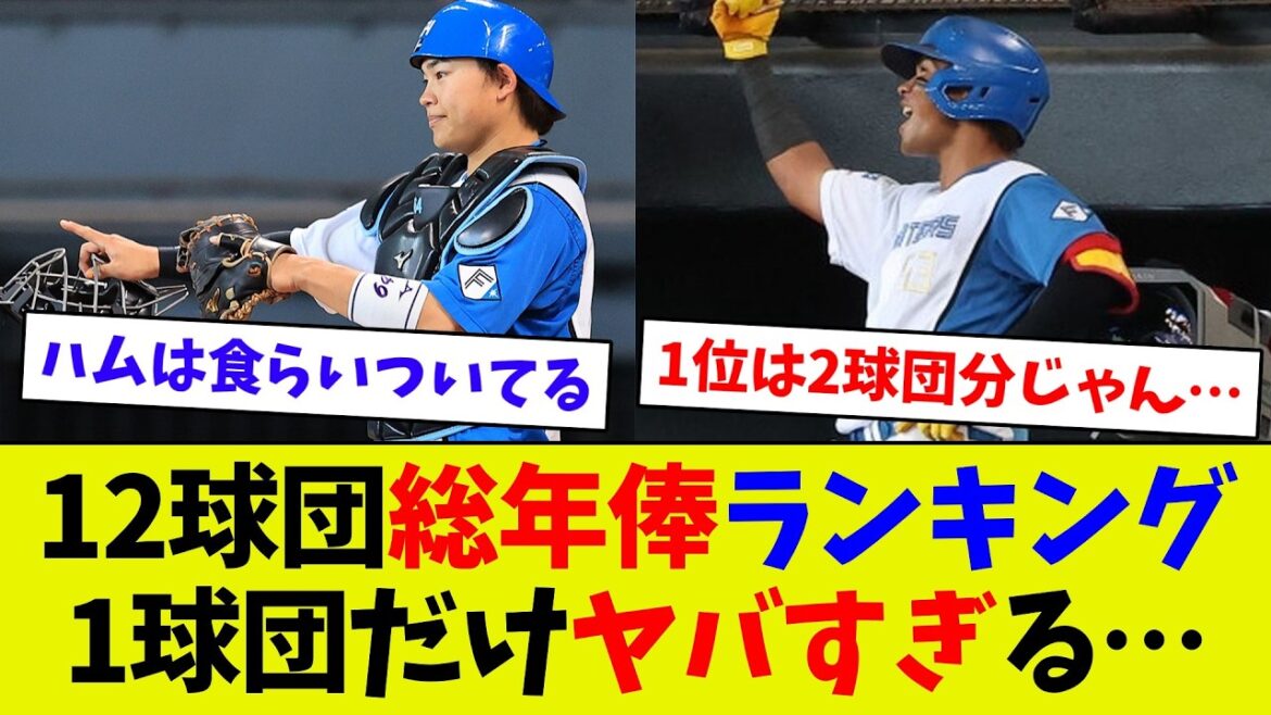 【逆に公平!?】プロ野球12球団別総年俸ランキング! 1球団だけヤバすぎる… 【逆に公平!?】プロ野球12球団別総年俸ランキング! 1球団だけヤバすぎる…