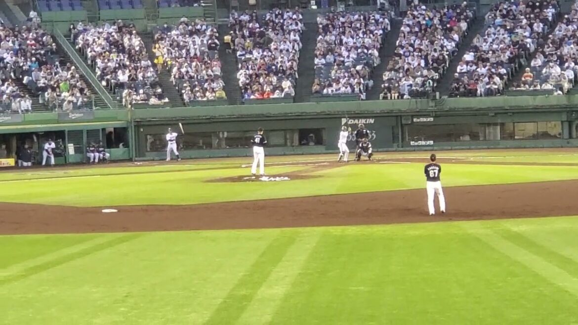 20240501　復活を期する【宗佑磨】2回ｳﾗ　ｵﾘｯｸｽ･ﾊﾞﾌｧﾛｰｽﾞ@ほっともっとﾌｨｰﾙﾄﾞ神戸･ﾚﾌﾄ外野