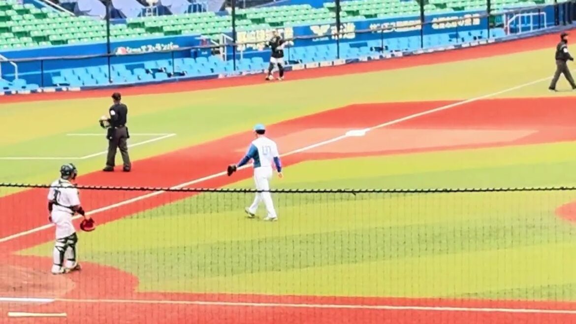 12球団合同トライアウト シート打撃『投手: 元日ハム・柿木蓮 打者: 元巨人・菊田拡和 & 元中日・三好大倫 』 12球団合同トライアウト シート打撃『投手: 元日ハム・柿木蓮 打者: 元巨人・菊田拡和 & 元中日・三好大倫 』