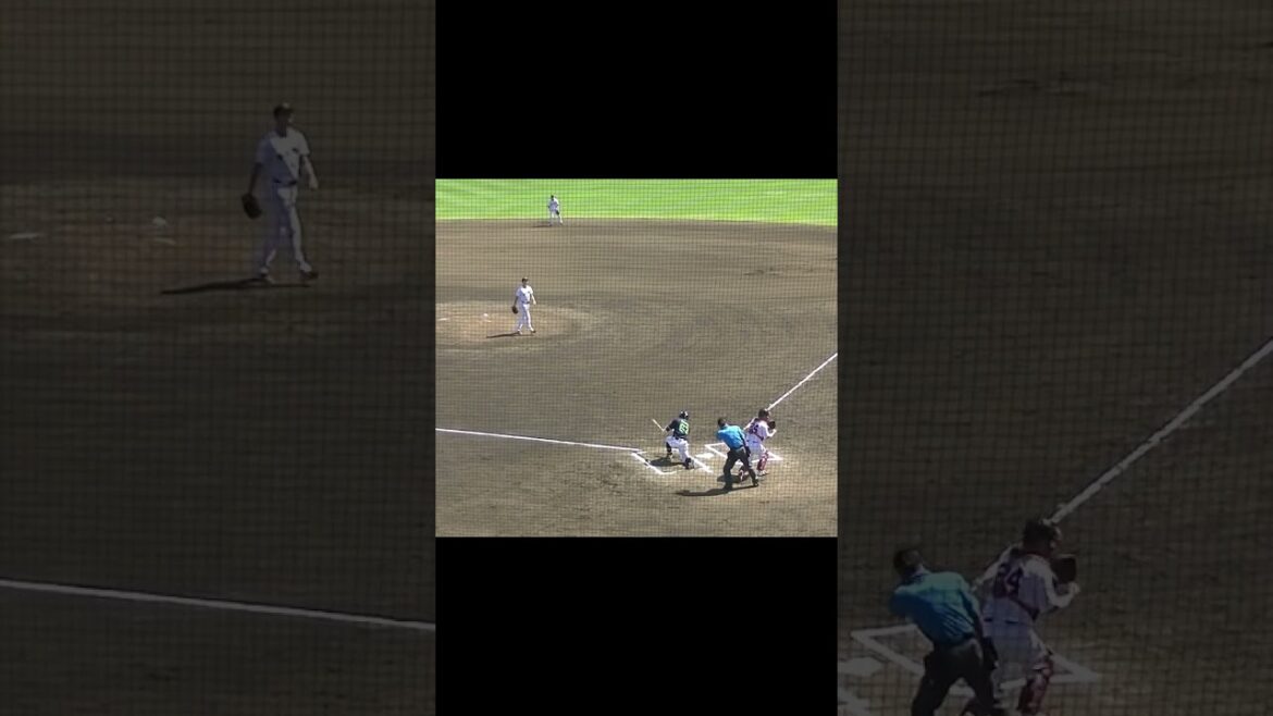 グリフィン スライダーで増田珠を三振（読売ジャイアンツ対 ヤクルトスワローズ2024年5月29日） #グリフィン