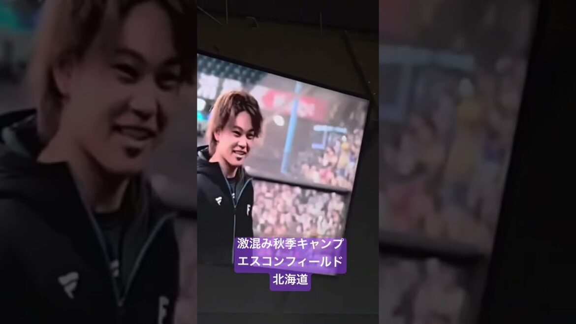 激混みの秋季キャンプ　エスコンフィールド北海道日本ハムファイターズ #北海道日本ハムファイターズ #プロ野球