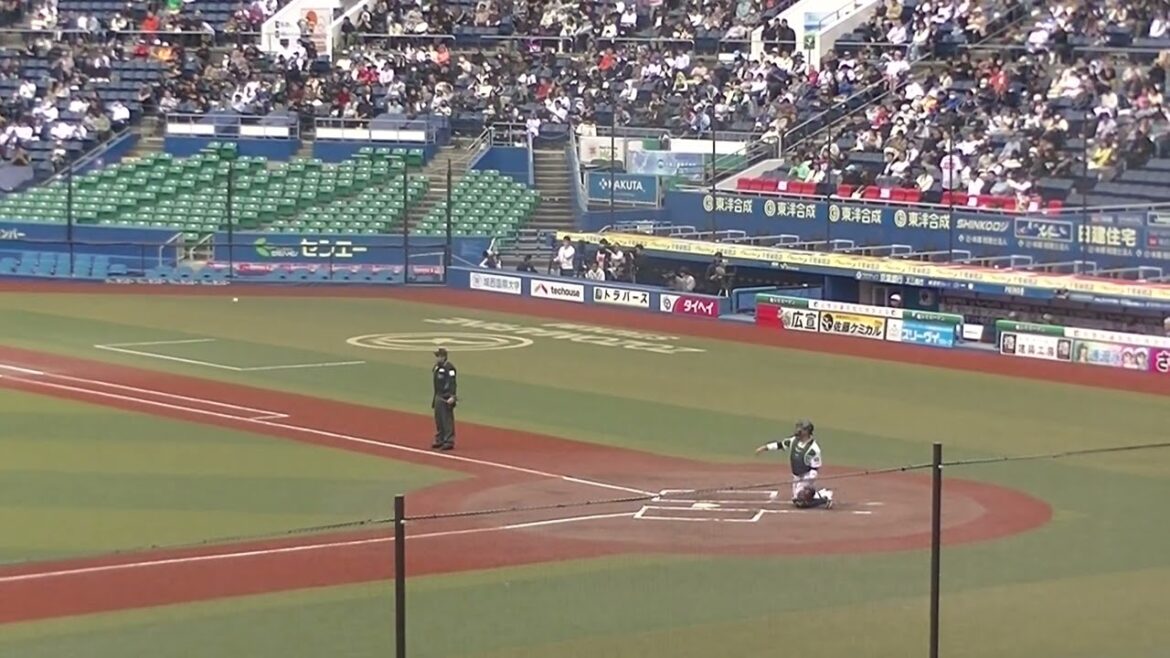 【合同トライアウト】バファローズ谷岡楓太の投球練習  2024年プロ野球12球団合同トライアウト11月14日