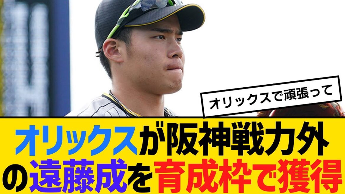 オリックスが阪神戦力外の遠藤成を育成枠で獲得 【ネットの反応】【反応集】 オリックスが阪神戦力外の遠藤成を育成枠で獲得 【ネットの反応】【反応集】