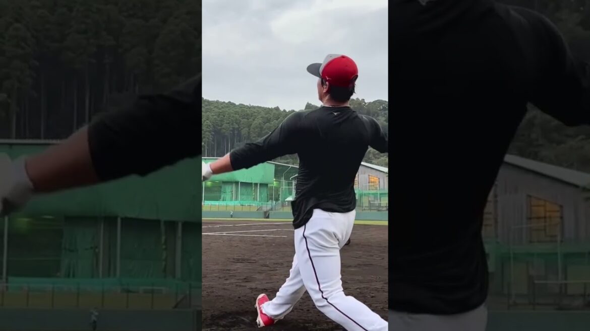 秋季キャンプ　中村貴浩選手 #カープ