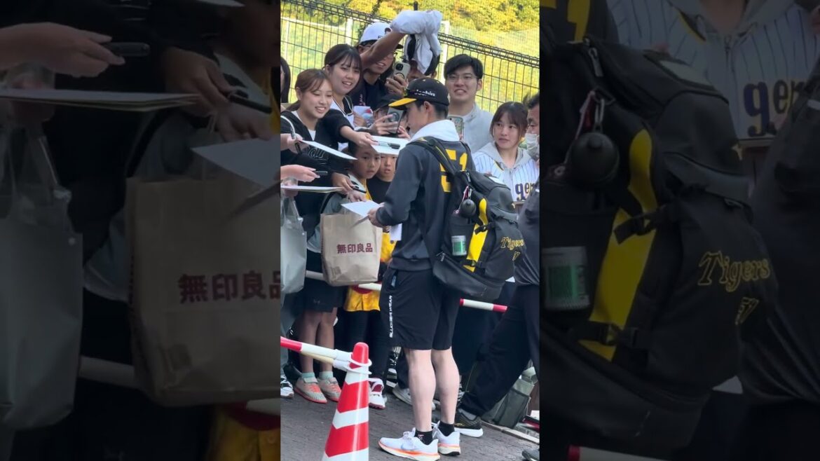中野拓夢選手サイン耐久戦✍️サイン✍️サイン✍️またサイン✍️阪神選手ファンサ集　#3 中野拓夢/小野寺暖/ベタンセス　サンテレビ湯浅アナウンサーも登場　#阪神タイガース #阪神　#阪神キャンプ