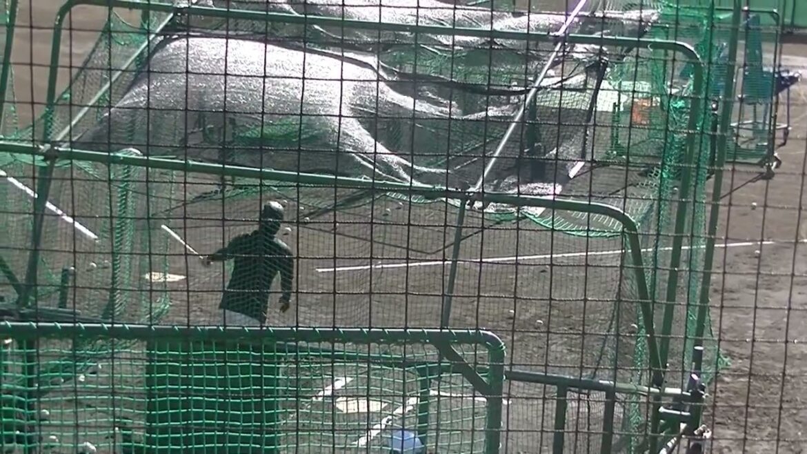 【秋季練習】郡拓也の打撃練習を後ろから（読売ジャイアンツ ジャイアンツ球場 2024年11月7日）