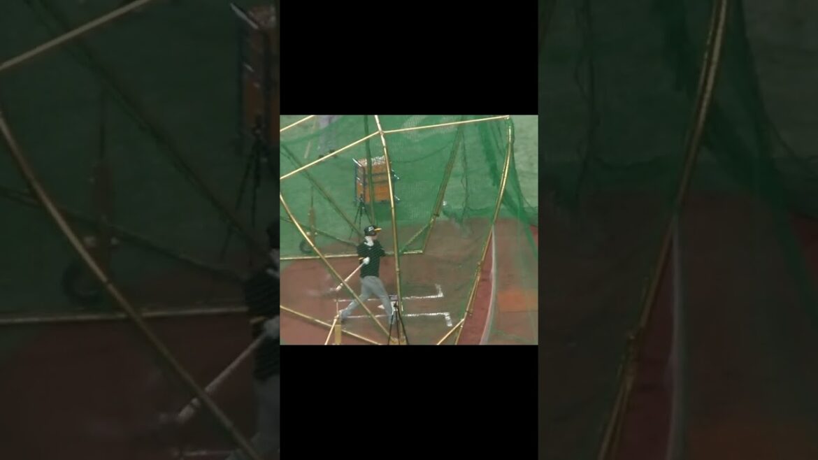 【阪神】植田海のフリーバッティング＜開幕戦 巨人 対 阪神  2024年3月29日＞