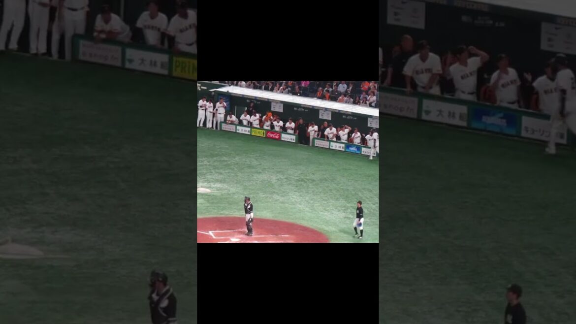 ジャイアンツ9連打の時のベンチの様子〜立岡宗一郎のヒットの時〜5連打目（読売ジャイアンツ対 千葉ロッテマリーンズ2024年6月4日） #9連打