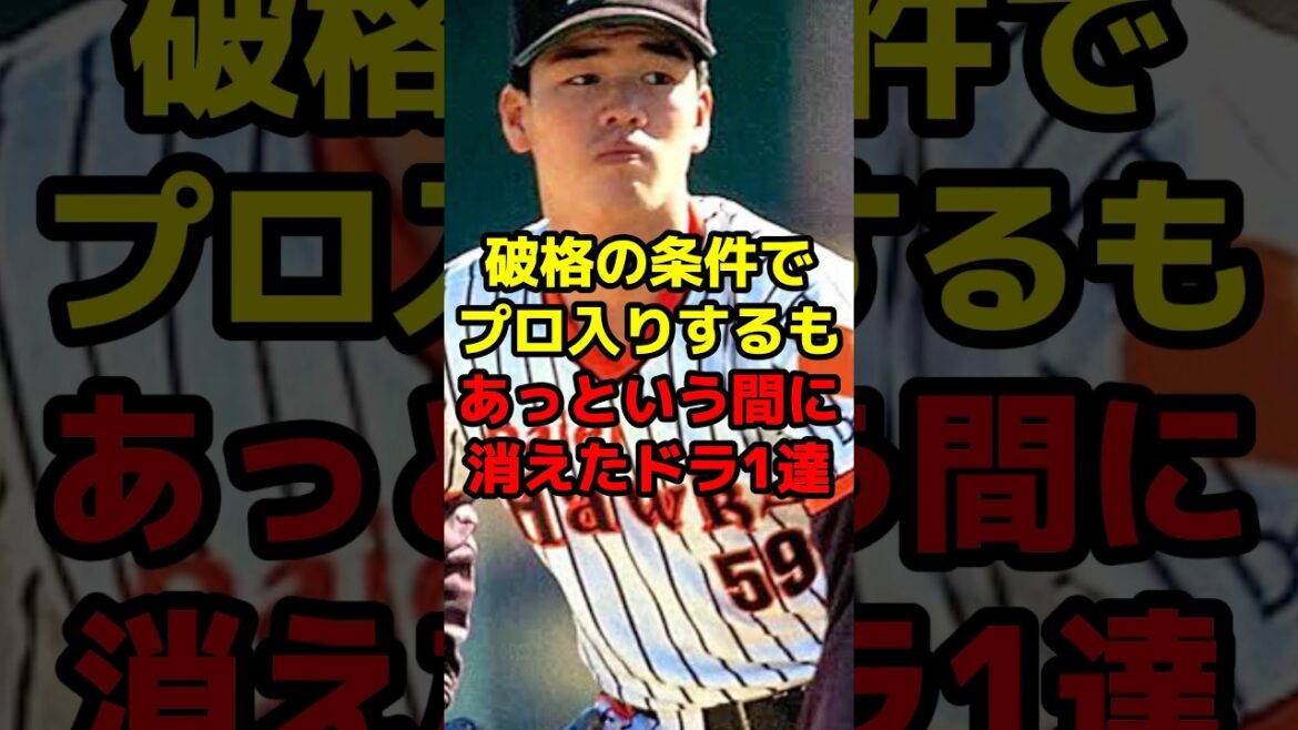 破格の条件でプロ入りするもあっという間に消えたドラ１達#shorts #野球 #プロ野球 #ドラフト #ドラフト1位 #消えた #天才
