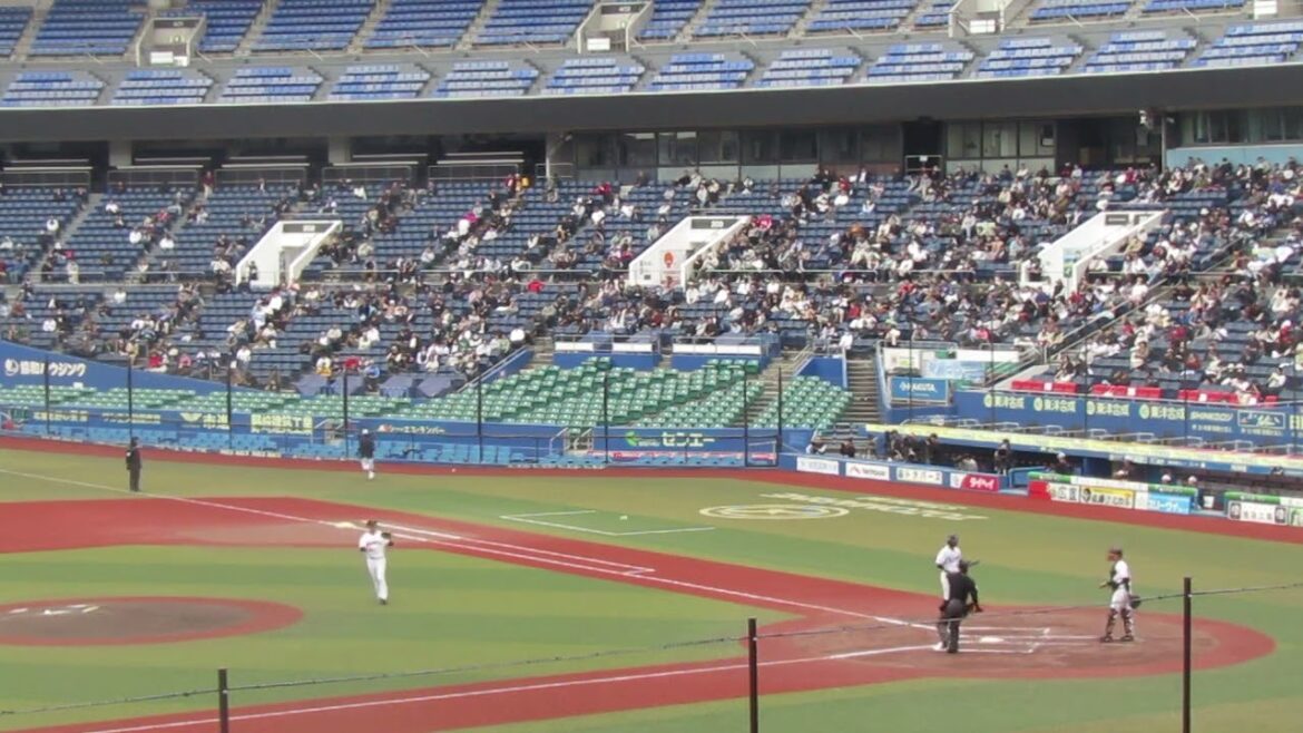 トライアウト〜西武 鈴木将平がヒットを放つ（2024年11月14日 プロ野球合同トライアウト ） 2