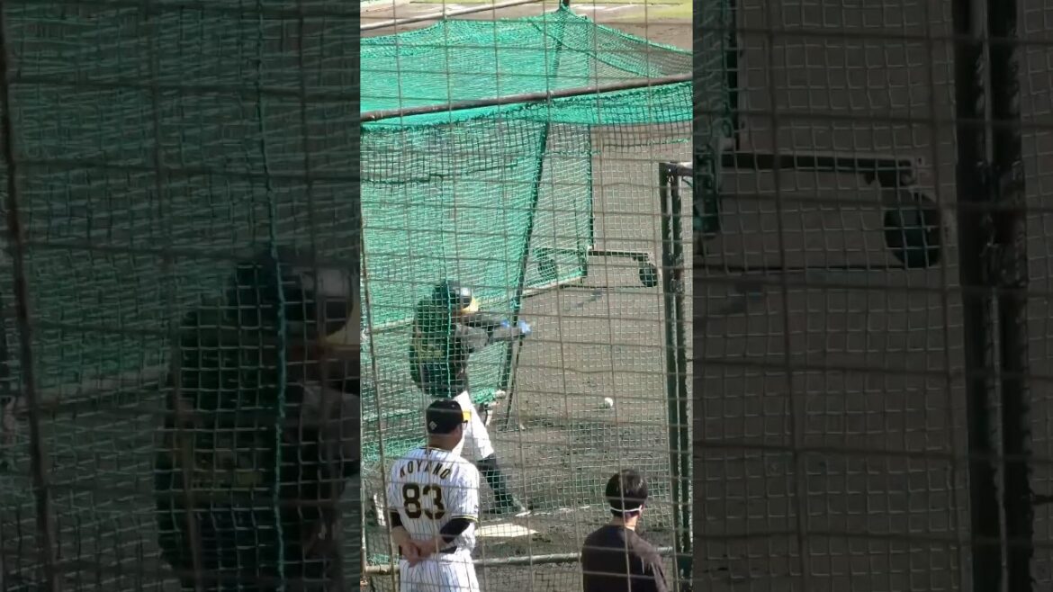 井上広大のドデカい一発！！