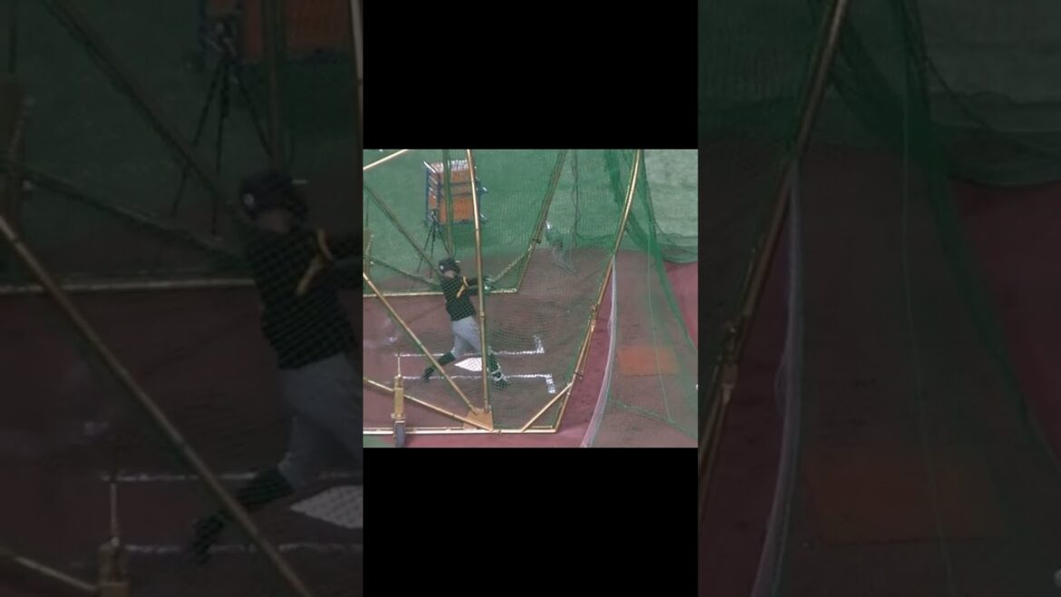 【阪神】島田海吏のフリーバッティング＜開幕戦 巨人 対 阪神  2024年3月29日＞ #島田海吏