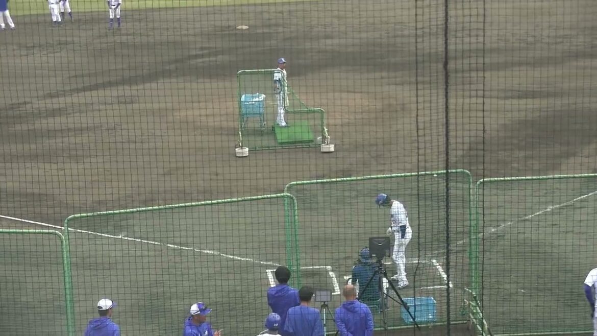 【中日ドラゴンズ ナゴヤ球場 秋季キャンプ 2024】板山祐太郎選手 打撃練習(シートバッティング) 2024/11/10